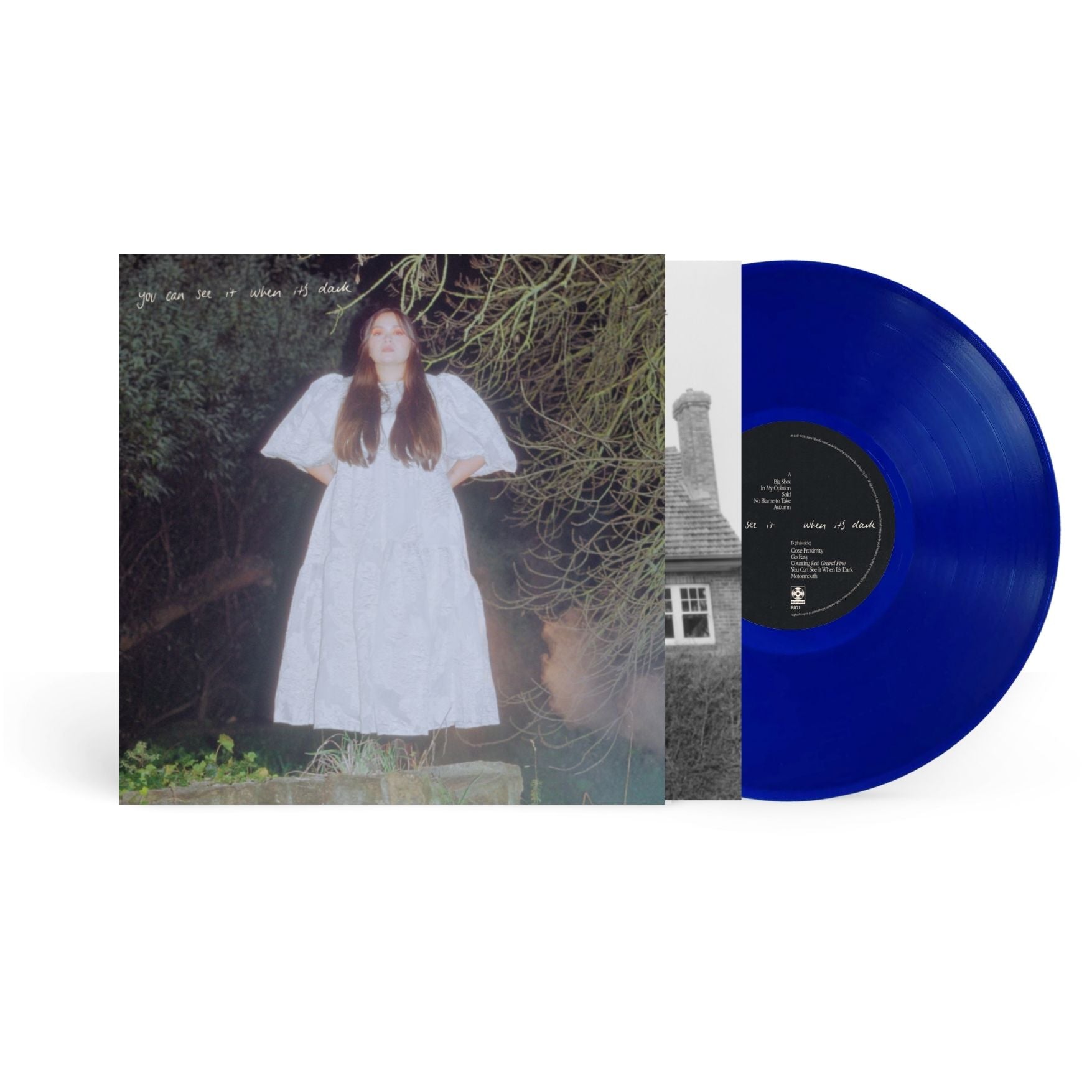 Chitra - You Can See It When It's Dark Vinyl LP