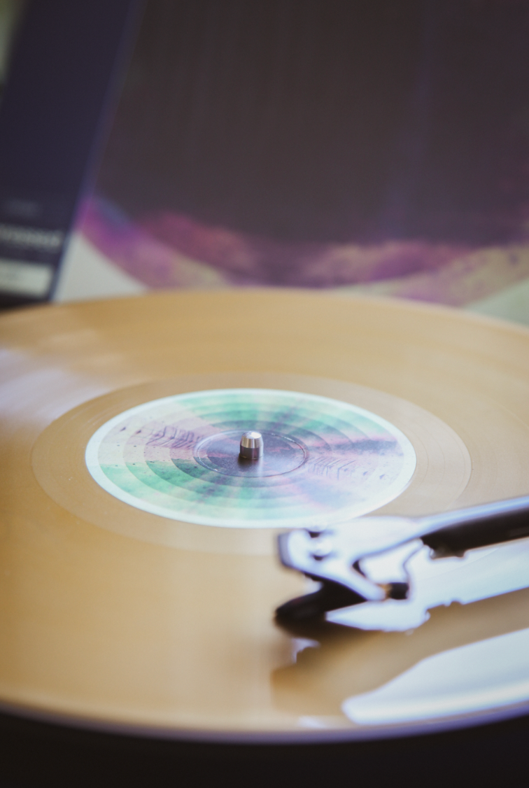 Fink - Hard Believer (10 Year Anniversary Edition) - 3LP Metallic Sand Exclusive by Fink colored vinyl disc close-up