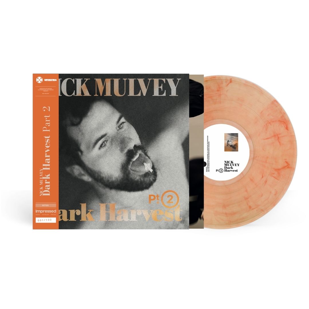 Nick Mulvey - Dark Harvest 2 - Vinyl LP