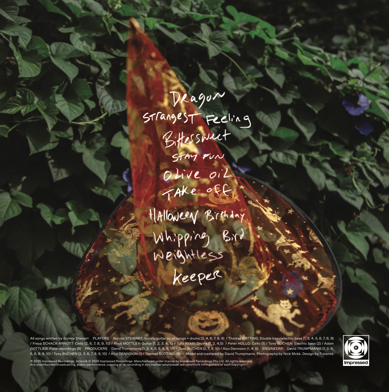 Bonniesongs - Strangest Feeling Vinyl LP