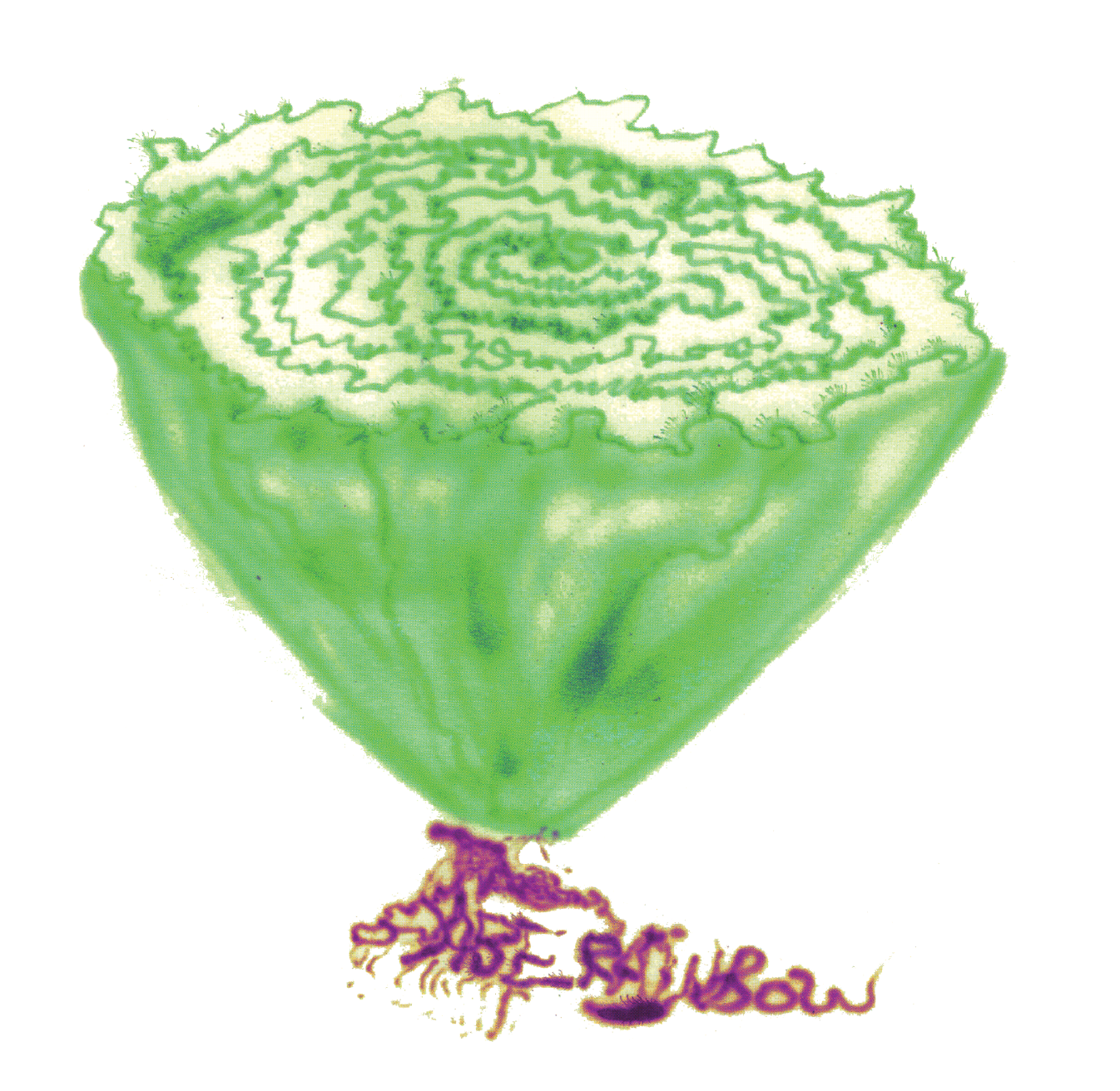 Babe Rainbow - Fresh As A Head Of Lettuce EP