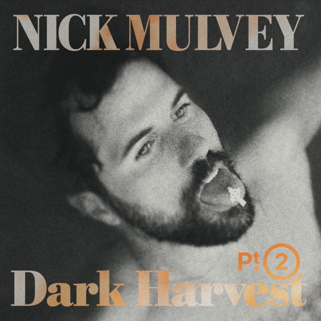 Nick Mulvey - Dark Harvest 2 - Vinyl LP
