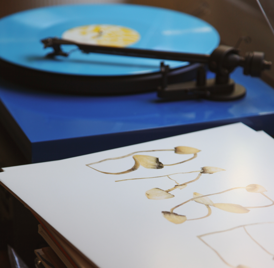 Babe Rainbow - Mushroom EP