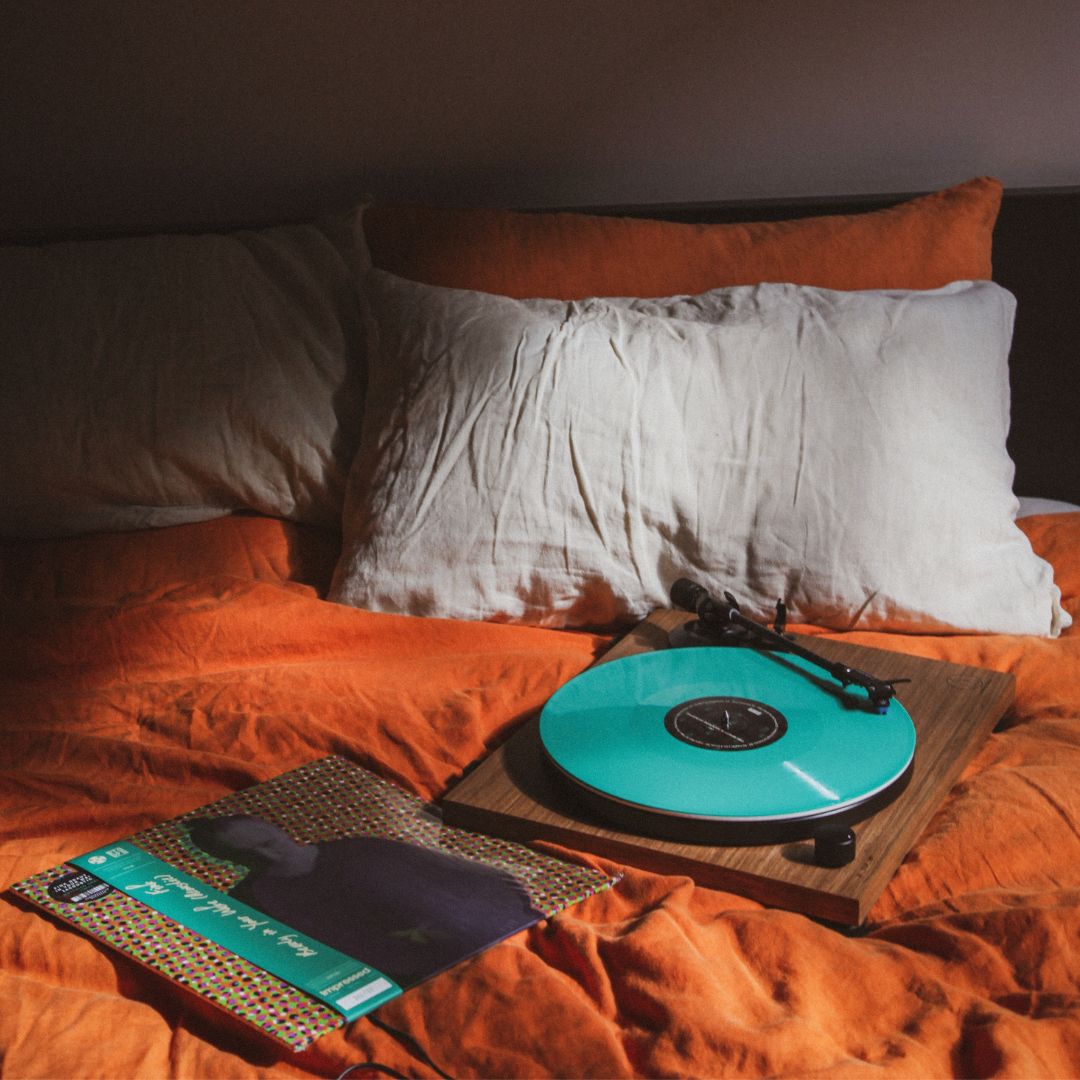 Fink - Beauty In Your Wake Acoustic - Vinyl LP