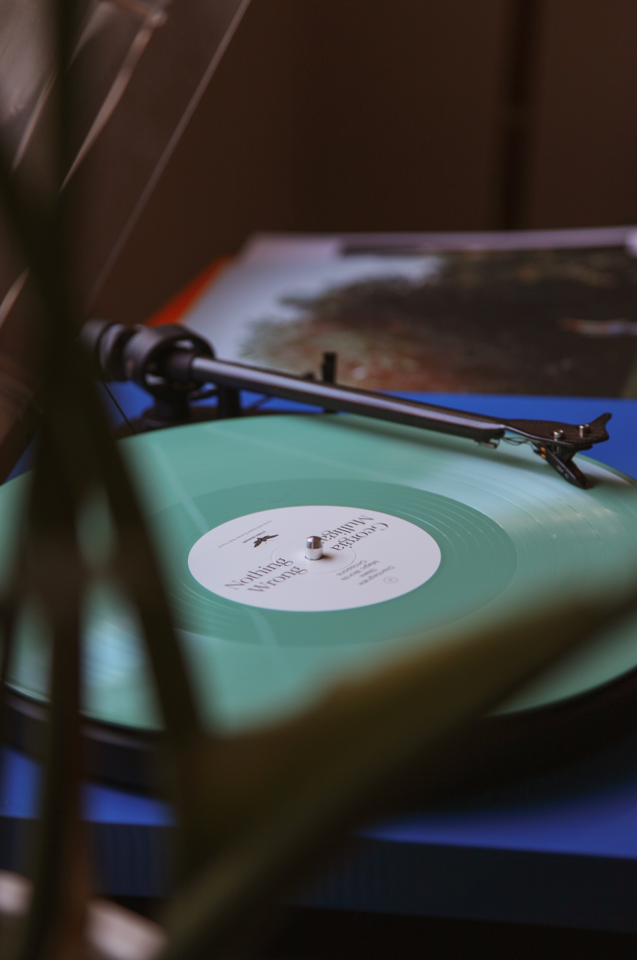 Georgia Mulligan - Nothing Wrong - Vinyl LP