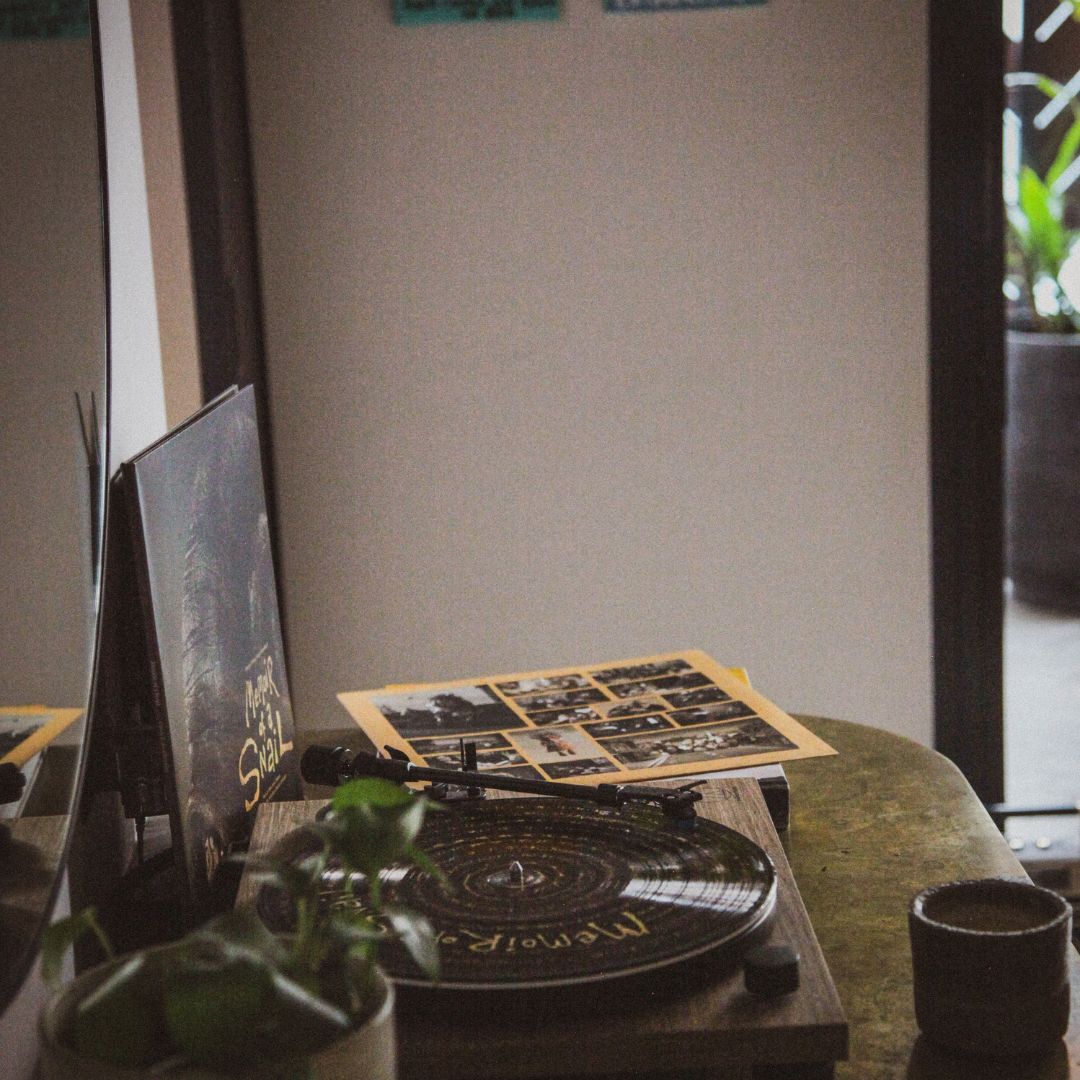 Memoir of a Snail - World Exclusive Limited Edition Soundtrack - Vinyl LP