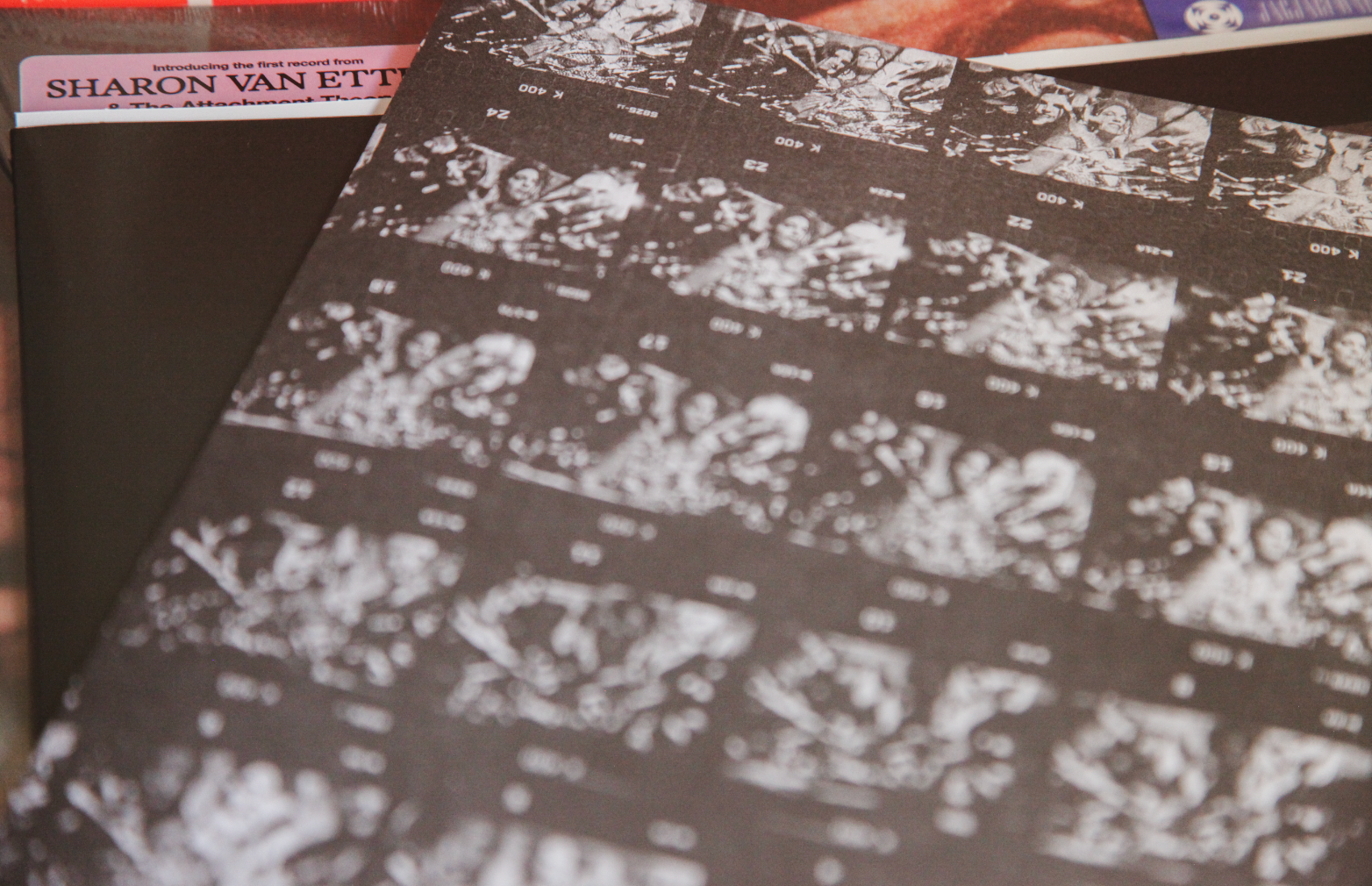 Sharon Van Etten & The Attachment Theory - Self Titled Album - Vinyl LP